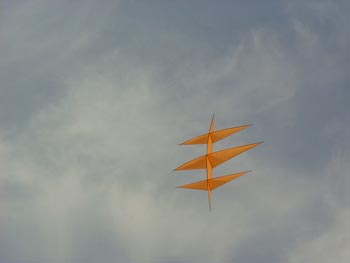 [jodhpur(kite+festival)5+copy.jpg]