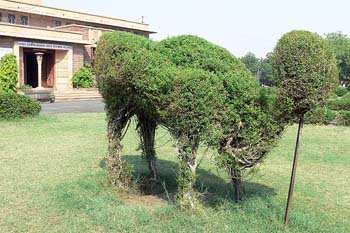 [jodhpur(museum)gvt+copy.jpg]
