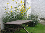 Irish Cottage Bench