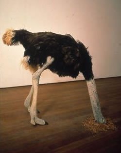 [avestruz.bmp]