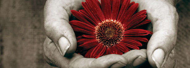 [flower+in+hand.jpg]