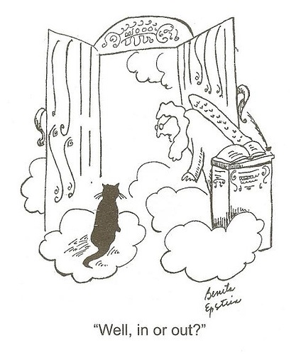 [cat-in-heaven.jpg]