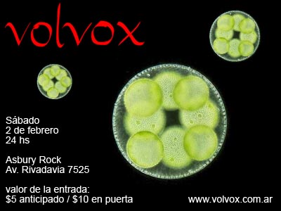 [Volvox+en+Asbury+Rock.jpg]