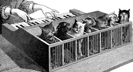 [cat-piano.jpg]