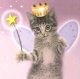 [fairy+cat.jpg]
