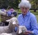 Barb with Lambs & Yarn