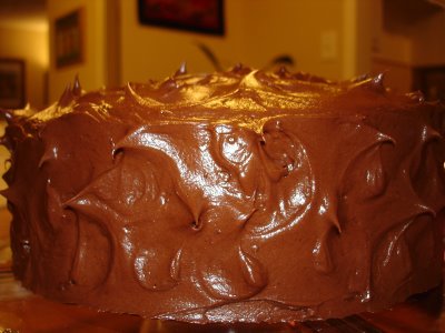 [chocolate+cake+side+close+up.jpg]