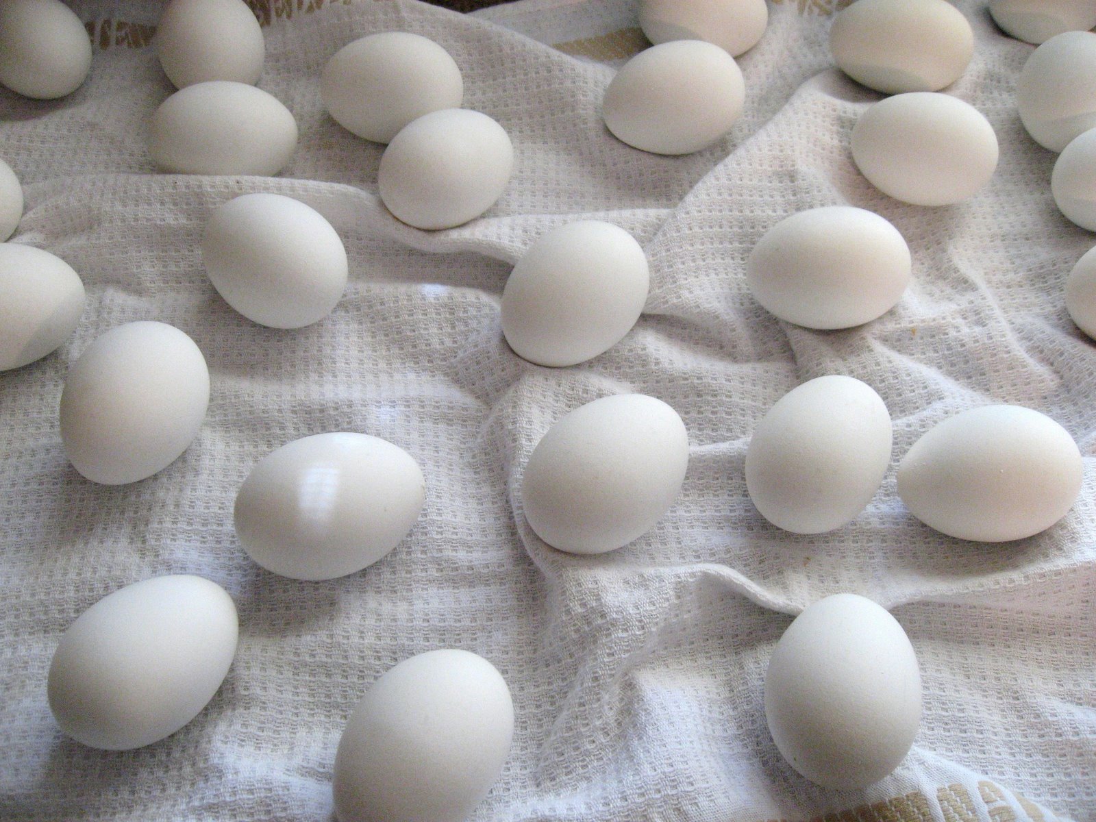 [Hard+Boiled+Eggs.JPG]