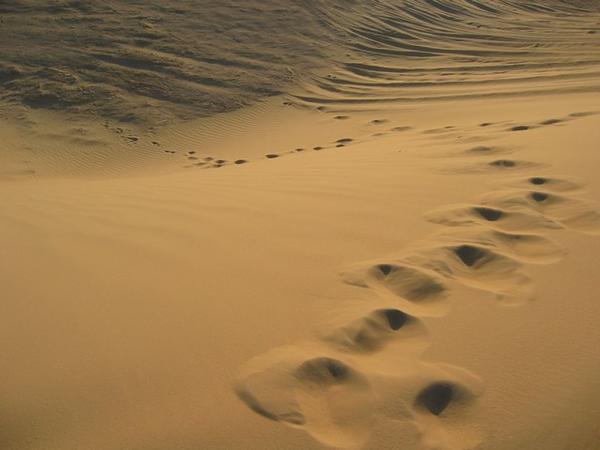 [Footprints.jpg]