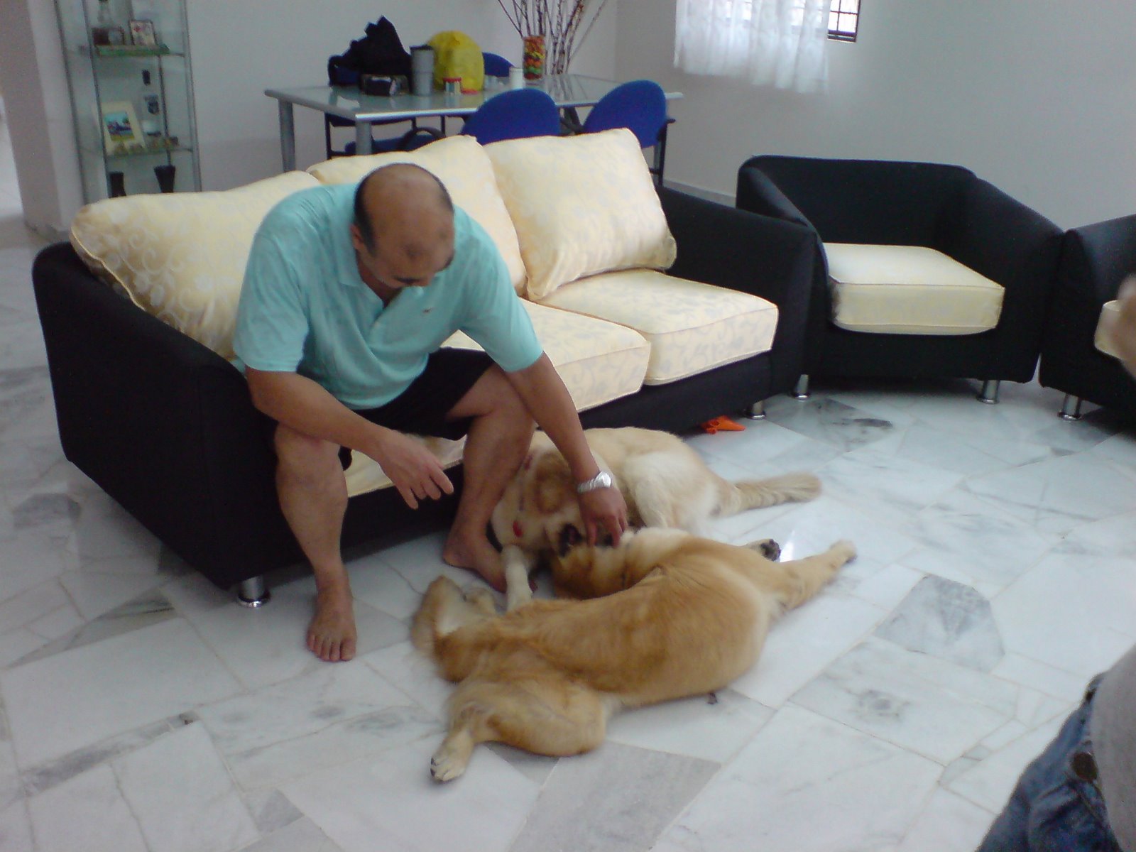 [uncle+and+dogs.JPG]