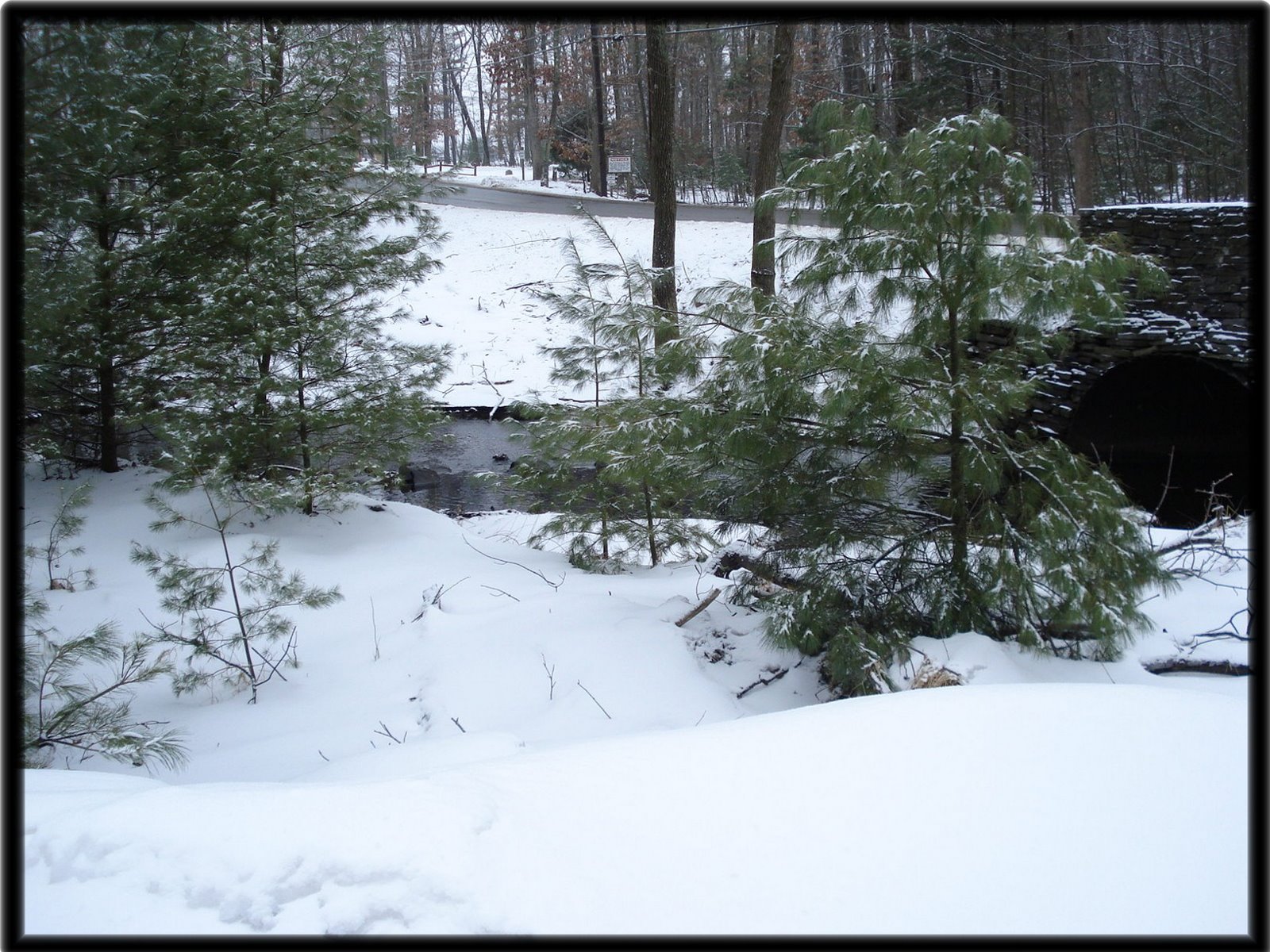 [snowy+creek.jpg]