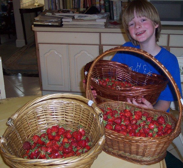 [strawberries+7-7.JPG]