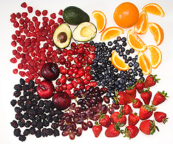 [berry%20fruits.jpg]