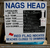 [20080721-NH-Lifeguards-(2b).gif]
