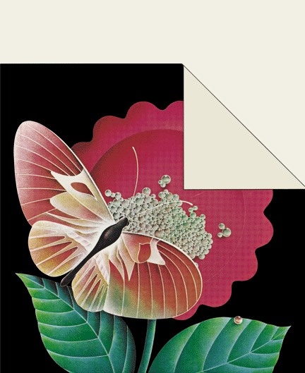[illustration-butterfly-1978.gif]