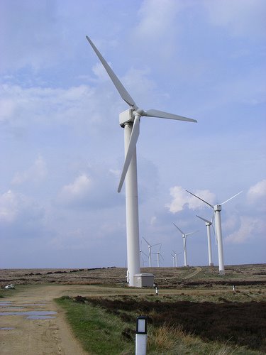 [windfarm.jpg]