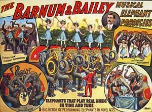 [Barnum+&+Bailey+elephants.jpg]