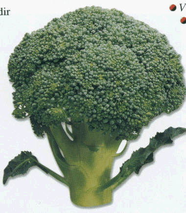 [brokoli.gif]