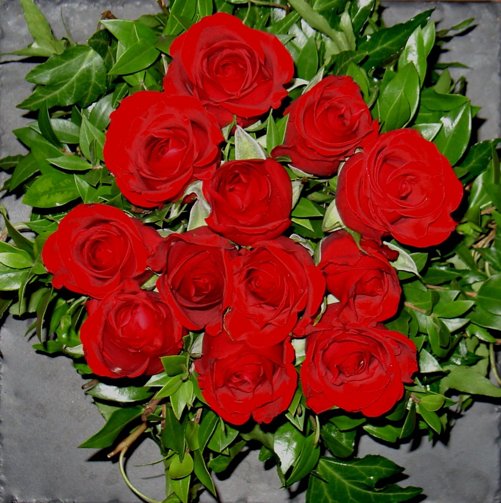 [roses1-5-06-b.jpg]
