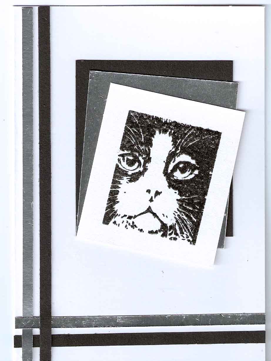 [cat+black+and+white+card.jpg]
