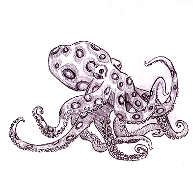 [octopusweb.jpg]