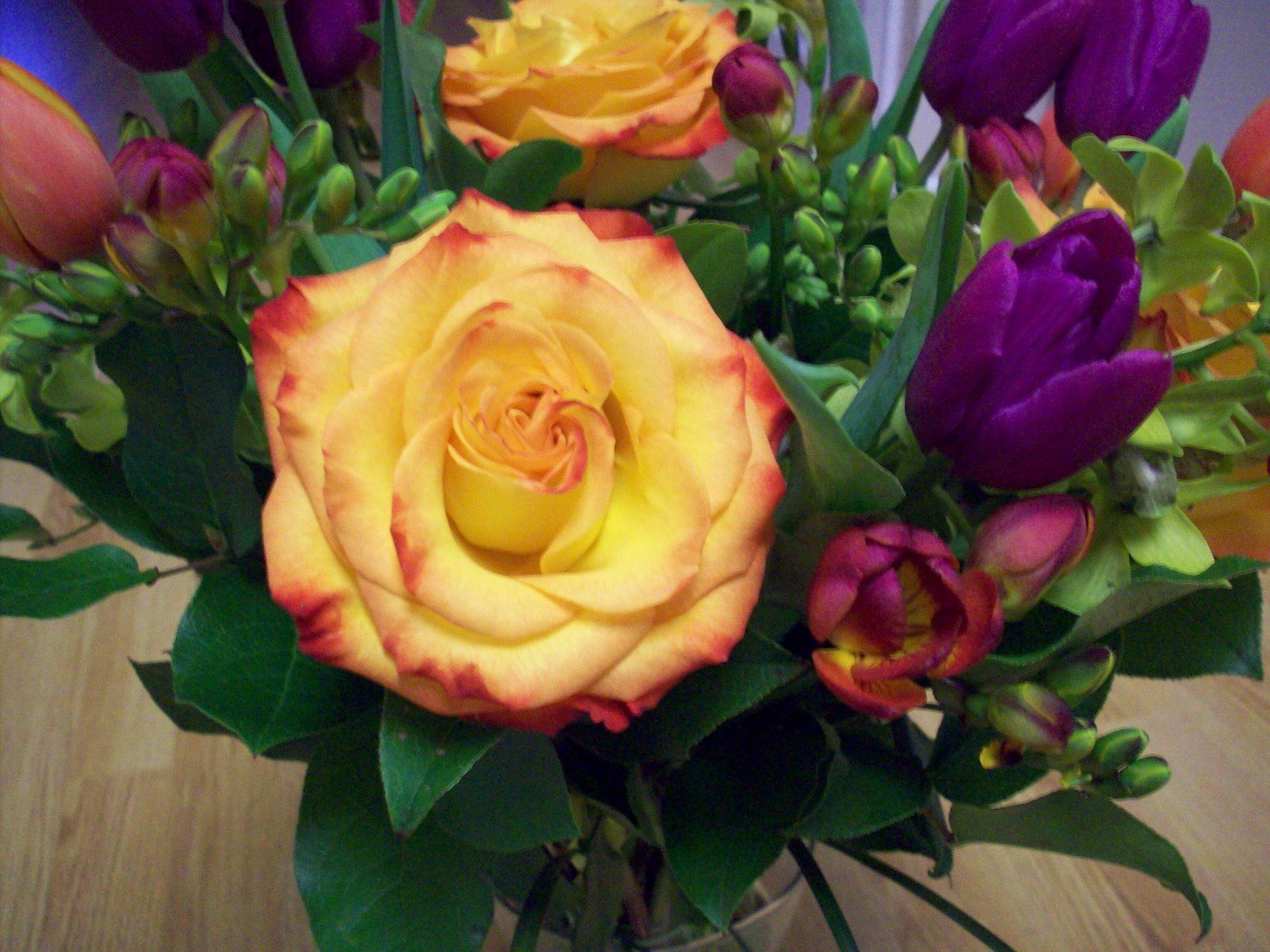 [Rose+closeup+in+bouquet.jpg]