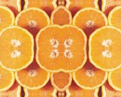 [oleo+laranja.jpg]