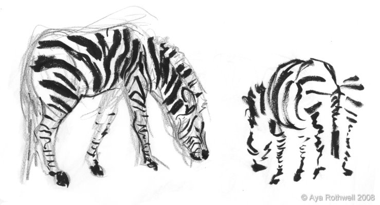[Zebras1+web]