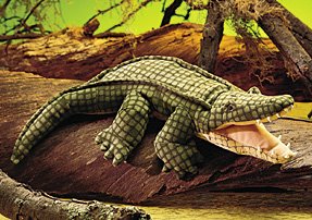 [Alligatorpuppet.jpg]