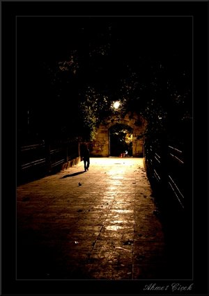 [Silence_of_night____by_ahmetcicek.jpg]