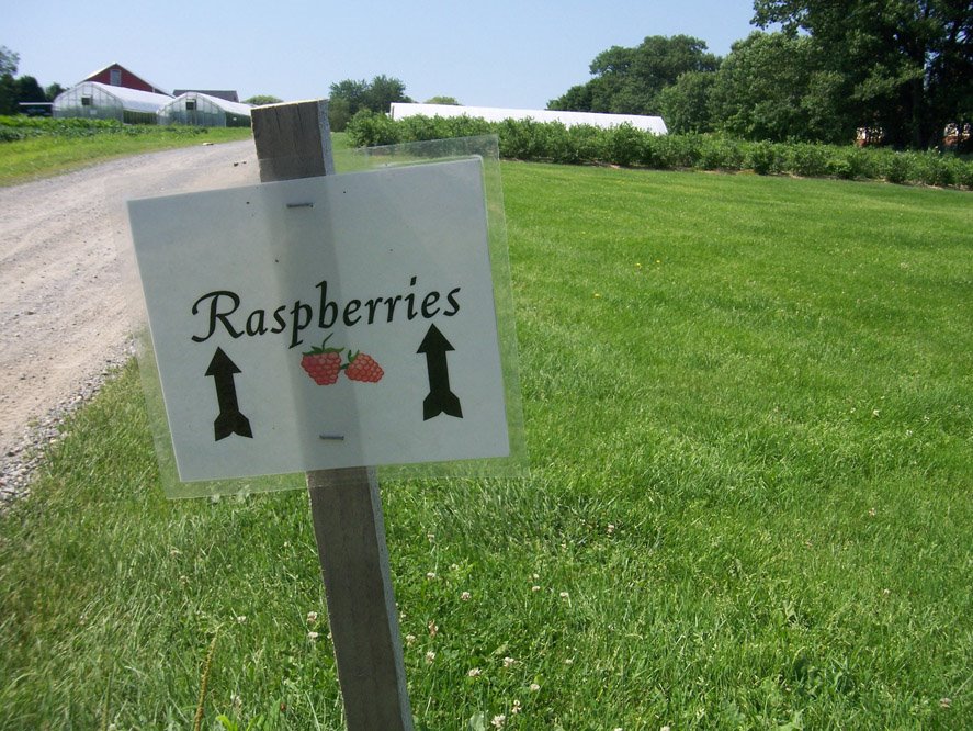 [raspberry+sign.jpg]