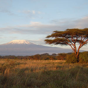 [kilimanjaro_kenya.jpg]