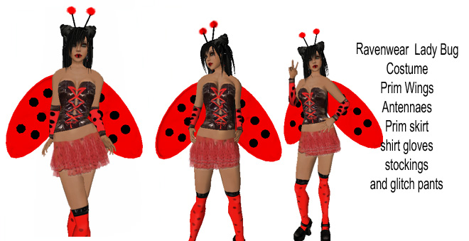 [ravenwear+ladybug.jpg]