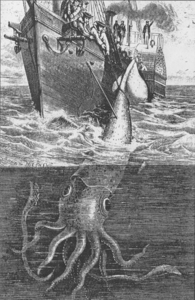 [389px-Alecton_giant_squid_1861.png]