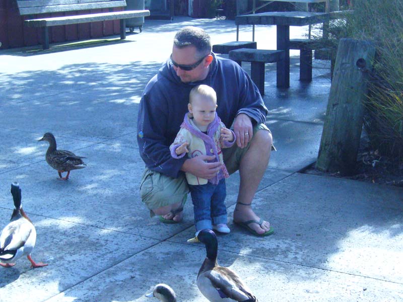 [Naddie,+Daddy+and+the+ducks.jpg]