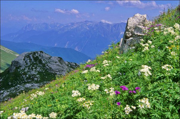 [Georgian+mountains.jpg]