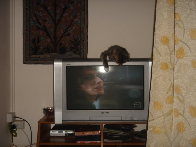 [Pesho+loves+TV+005.JPG]