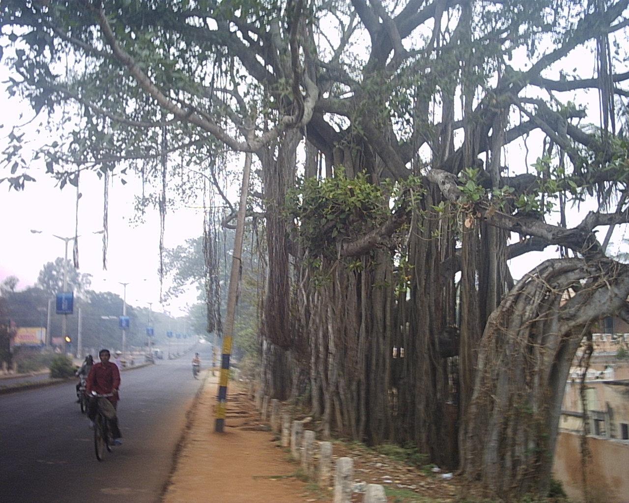 [Mysore+roads+036.jpg]