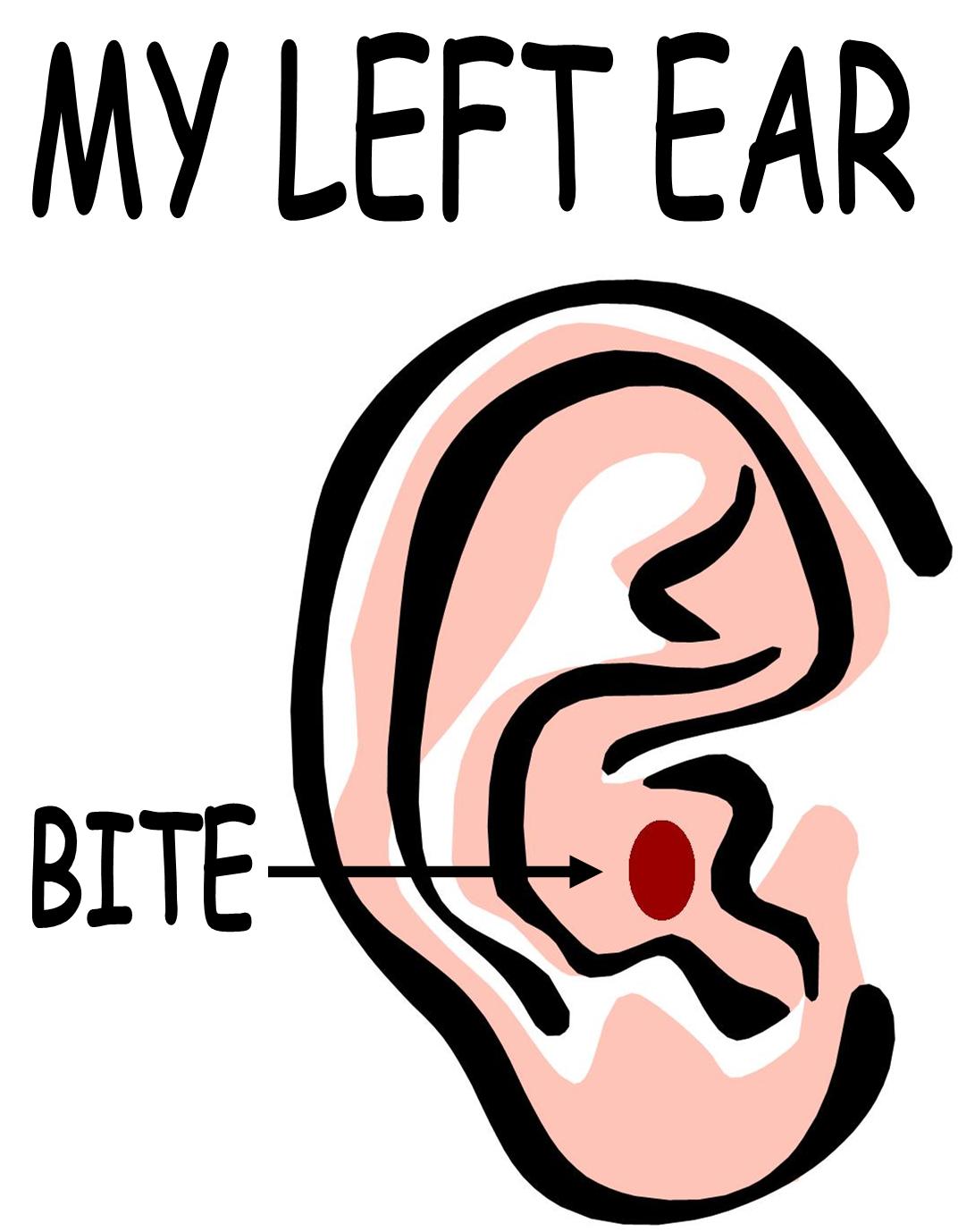 [Ear.jpg]