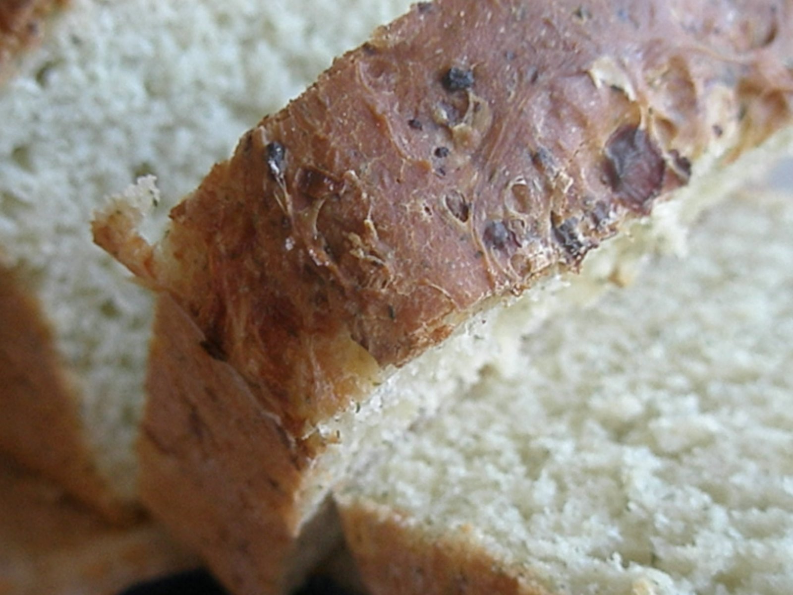 [dill+bread+009.jpg]