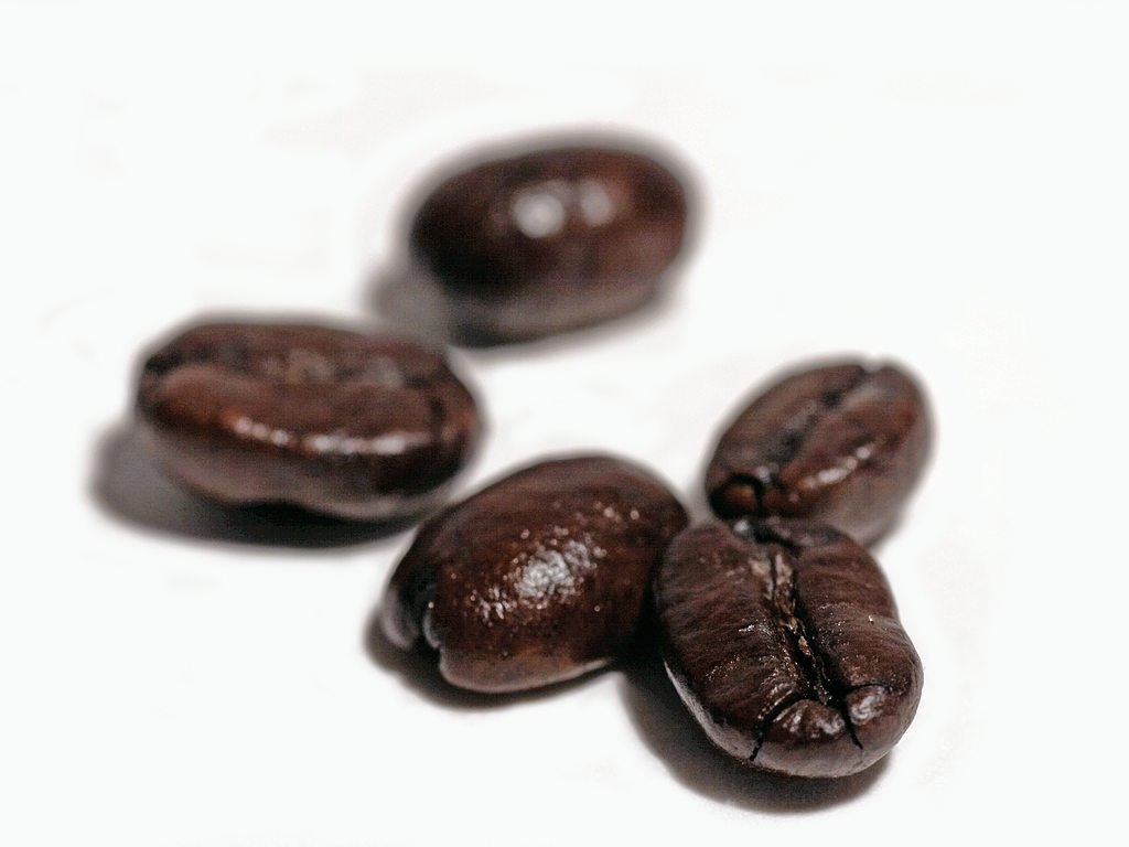 [coffeebeans.bmp]