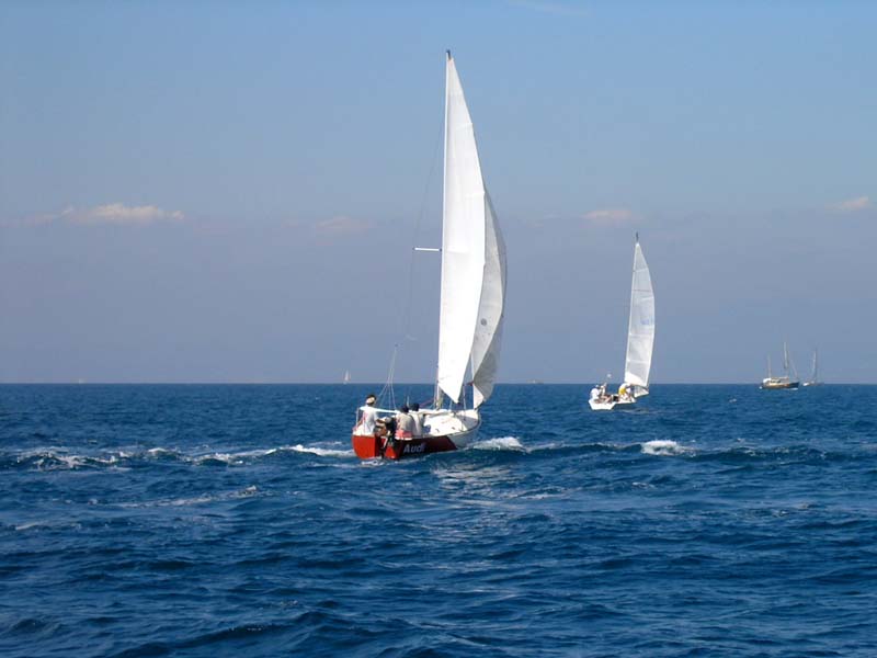 [sailing-competition.jpg]