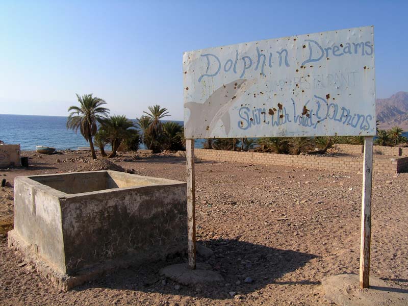 [dolphin-dreams-sign.jpg]