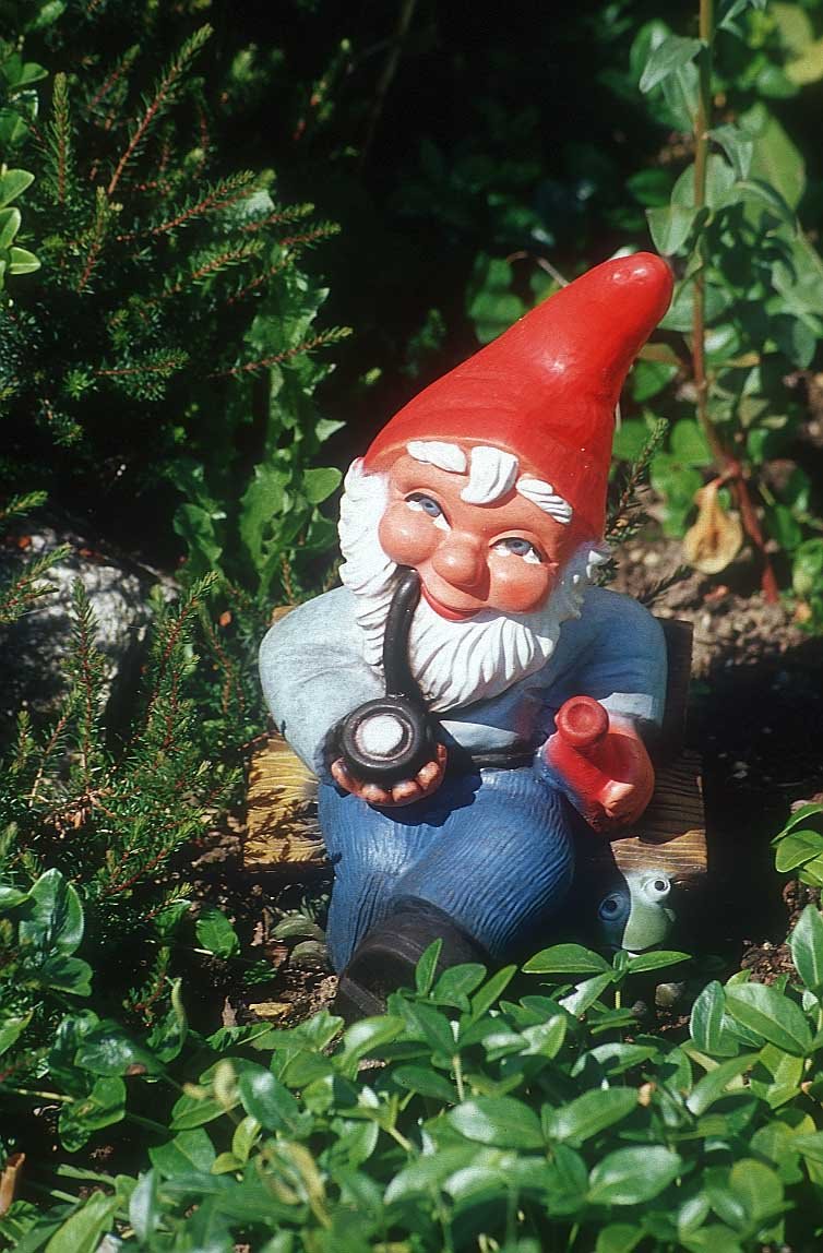 [garden+gnome.bmp]