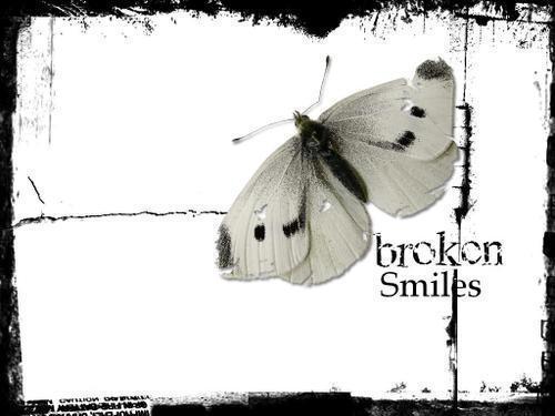 [broken+smiles.jpg]