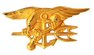 [Navy_SEALs_insignia.png]