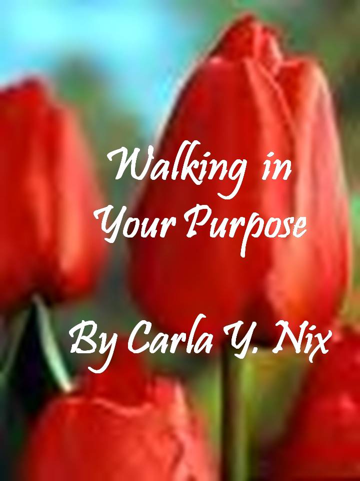 [cover+-+walking+in+your+purpose.jpg]