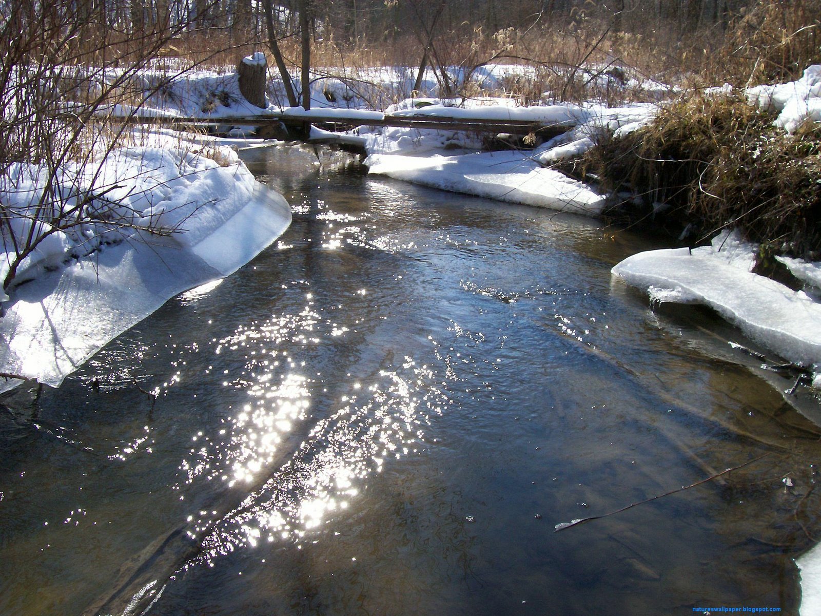 [Small+River+With+Ice+On+The+Sides.JPG]