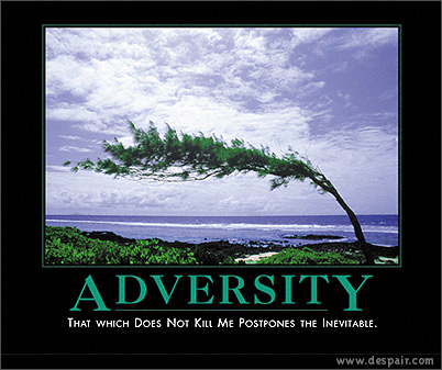 [adversity.jpg]