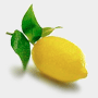 [lemon.gif]